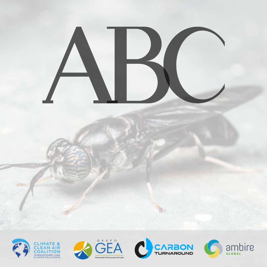 ABC de la tecnología de la Mosca Soldado Negra en la producción de proteína sostenible – Parte II